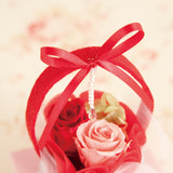 プリザーブドフラワー お花レッドSL